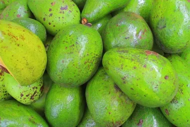 Znate li kako omekšati avokado?