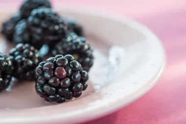 Kupine su moćne crne bobice, a evo i zašto bi ih trebala uključiti u prehranu