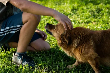 Šest razloga zašto je dobro da djeca rastu uz kućne ljubimce