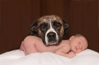 Šest razloga zašto je dobro da djeca rastu uz kućne ljubimce