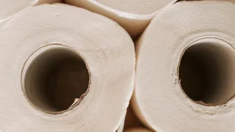 Kako iskoristiti role od wc papira?