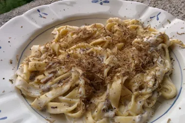 Koja su poznata tradicionalna hrvatska jela?