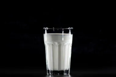 Kako sačuvati tibetansku gljivu?