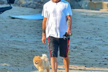 Gavin Rossdale