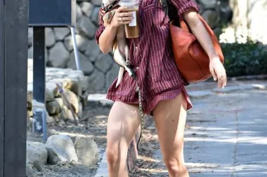 Scout Willis