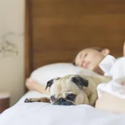 Poza u kojoj spavaš može uvelike utjecati na zdravlje. Provjeri jesi li izabrala najbolju?