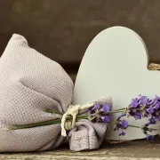 Zašto se lavanda suši