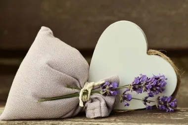 Zašto se lavanda suši