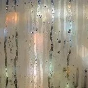Što kada vlaga u stanu stvara probleme?