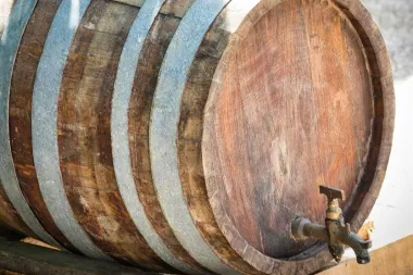 Optimalna temperatura vrenja mošta