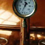 Savjeti kako pokrenuti vrenje mošta