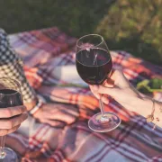 Koje su ideje za piknik?