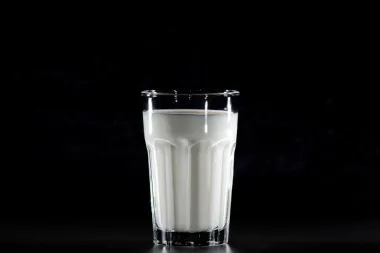Kako se pravi kefir?