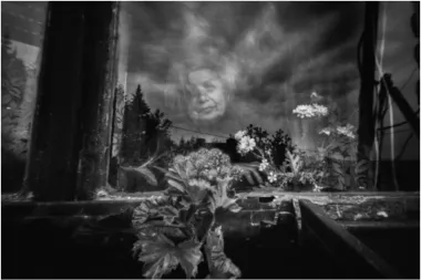 Novo normalno: Genijalna virtualna izložba fotografkinje Matee Smolčić Senčar