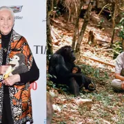 Jane Goodall: 60 godina aktivizma, istraživanja i inspiracije