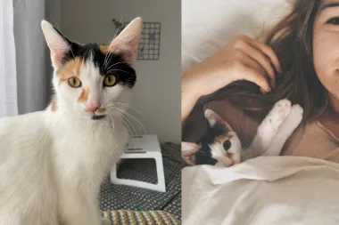 Kako mi je udomljavanje mace pomoglo u vrijeme korone i potresa