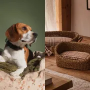 Očarane smo: Zara Home ima šarmantnu kolekciju za kućne ljubimce