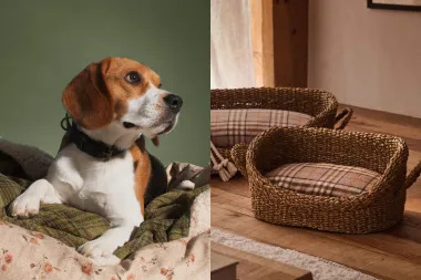 Očarane smo: Zara Home ima šarmantnu kolekciju za kućne ljubimce