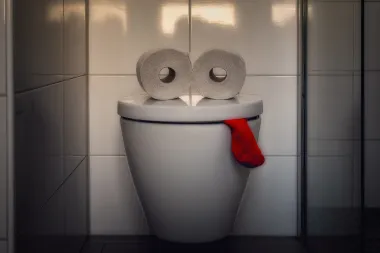 Čišćenje WC školjke octom