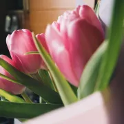 U proljeće obožavamo tulipane, no znaš li što koja boja simbolizira?