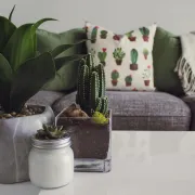 Kako preurediti unajmljeni stan ili kuću, ali bez velikih radova
