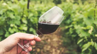Jesi li i ti među njima? Ovo su ljudi koji nikada ne bi smjeli piti vino