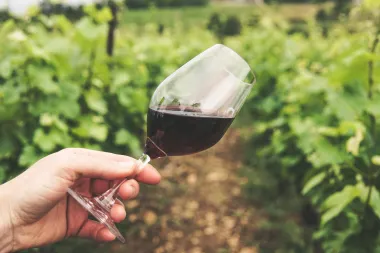 Jesi li i ti među njima? Ovo su ljudi koji nikada ne bi smjeli piti vino