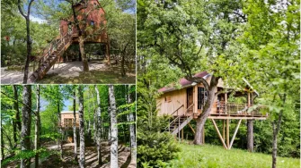 Šarmantne kućice na drvetu idealne za vikend avanturiste