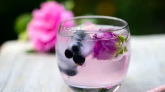 Odlične vijesti! Gin je proglašen najzdravijim alkoholnim pićem na svijetu