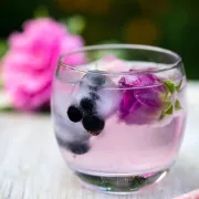 Odlične vijesti! Gin je proglašen najzdravijim alkoholnim pićem na svijetu