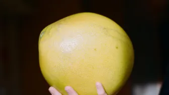 Jesi li probala pomelo, zdravo voće fantastičnog okusa?