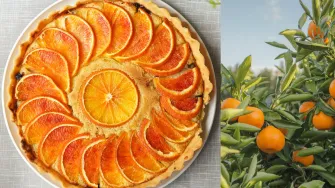 Naranče volimo u kolačima i salatama, a odlične su za imunitet