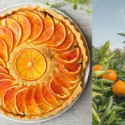 Naranče volimo u kolačima i salatama, a odlične su za imunitet
