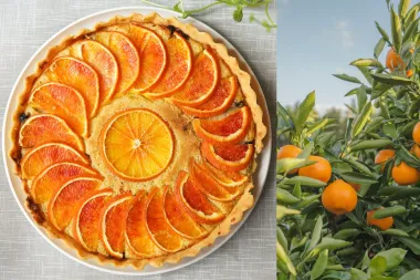Naranče volimo u kolačima i salatama, a odlične su za imunitet