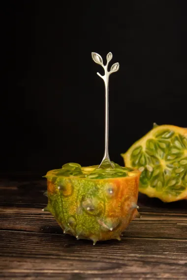 Kiwano - egzotično, zdravo voće koje izgleda kao da je s drugog planeta