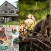 Utočište medvjeda Kuterevo - idealna destinacija za sve ljubitelje ovih predivnih životinja