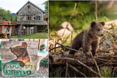 Utočište medvjeda Kuterevo - idealna destinacija za sve ljubitelje ovih predivnih životinja