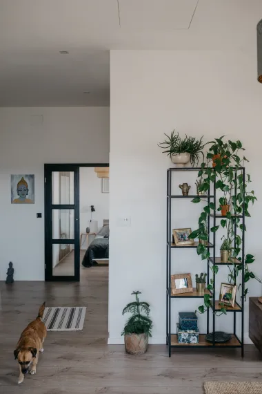 Zaviri u moj minimalistički uređen dom u potkrovlju