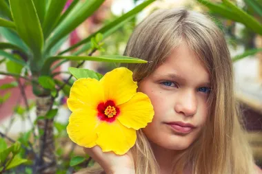 Hibiskus - cvijet koji traje jedan dan, a pamtiš ga još dugo
