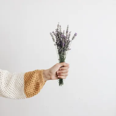 Lavanda - biljka predivnog mirisa s mnogobrojim blagodatima za zdravlje