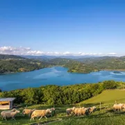 Nađeš li se u Istri, nikako ne smiješ zaobići ovo prekrasno jezero