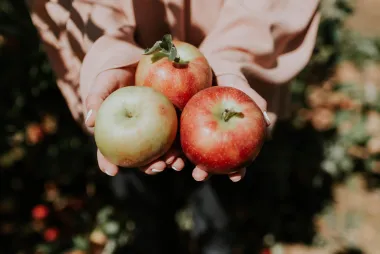 Osim što su ukusne, uz ove ćeš namirnice izgubiti kilograme