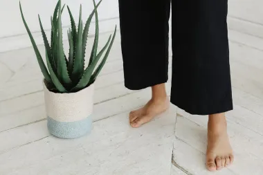 Aloe vera - sve zdravstvene dobrobiti ove čudesne biljke
