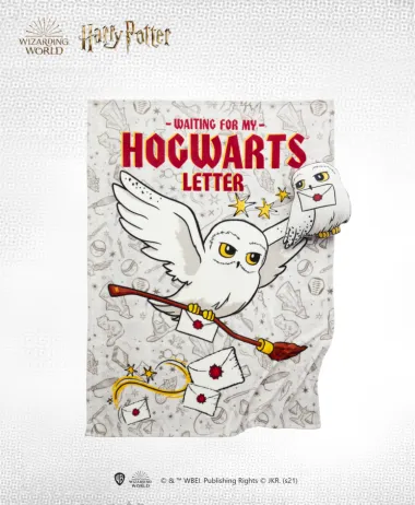 Svi su ludi za Harryjem: Harry Potter kolekcije vladaju i kod velikih i malih