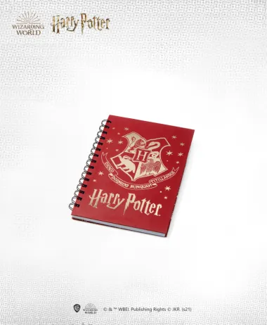 Svi su ludi za Harryjem: Harry Potter kolekcije vladaju i kod velikih i malih