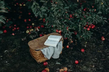 Zabavne aktivnosti uz koje će ti jesen postati omiljeno godišnje doba