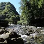 Biser Gorskog kotara: Zeleni vir savršena je destinacija za jesenski izlet