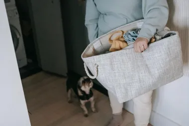 Smeta ti suhi zrak? 7 načina za povećanje vlage u prostoriji bez ovlaživača zraka