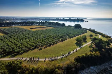 Istra je ujesen čudesna, a pogotovo posjetiš li i vinsku cestu