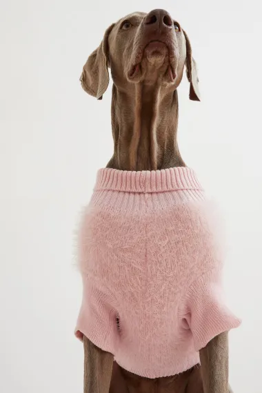 Vau, kakav outfit! Najslađi H&M kaputići za naše četveronožne prijatelje